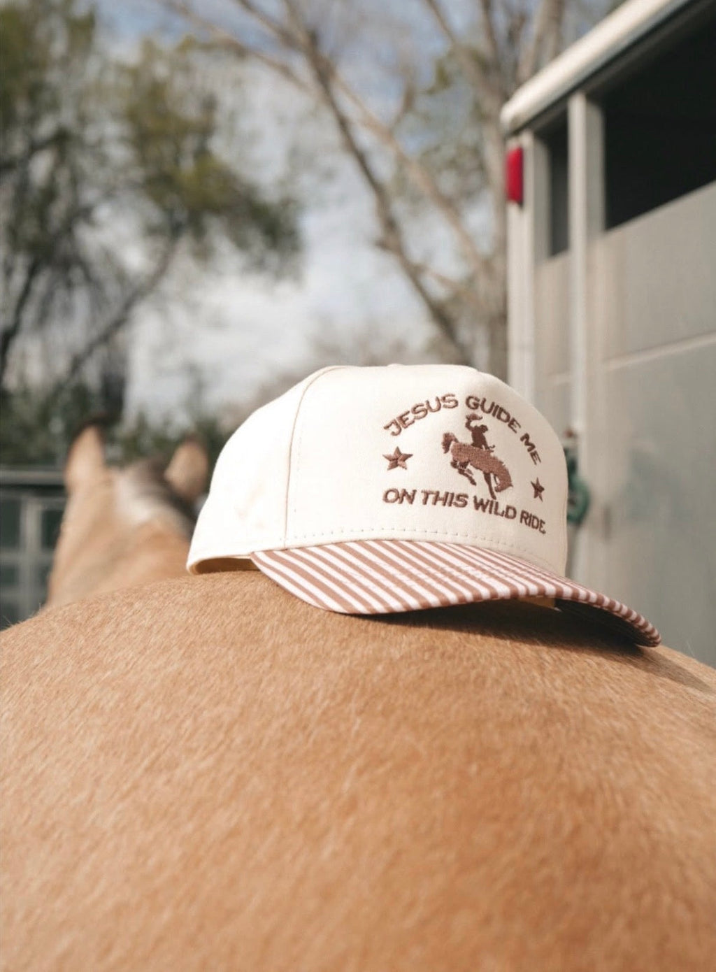 The Jesus Guide Me Hat